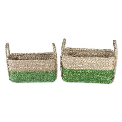 Alternate image for Handwoven Set of 2 Green and Beige Sabai Grass Fiber Baskets Green Call