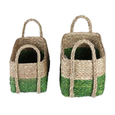 Alternate image for Handwoven Set of 2 Green and Beige Sabai Grass Fiber Baskets Green Call
