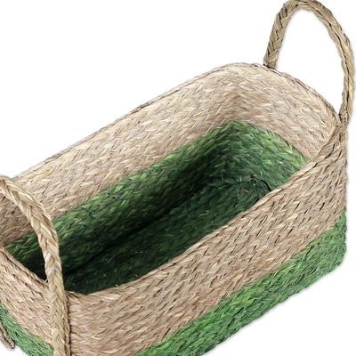 Alternate image for Handwoven Set of 2 Green and Beige Sabai Grass Fiber Baskets Green Call
