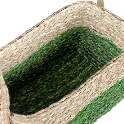 Alternate image for Handwoven Set of 2 Green and Beige Sabai Grass Fiber Baskets Green Call