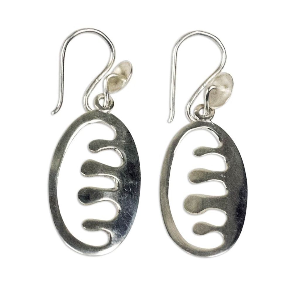 Adinkra Ese Ne Tekrema Dangle Earrings from Ghana 'Ese Ne Tekrema'