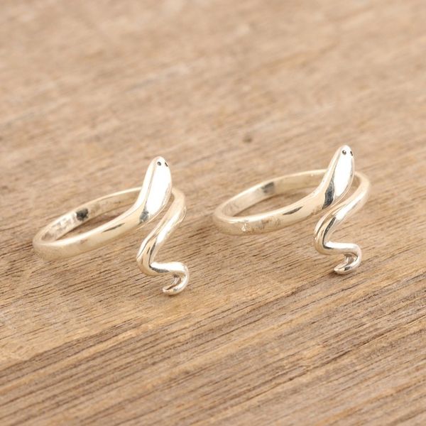 Alternate image for Pair of Sterling Silver Wrap Rings with Snakes Snake Delight