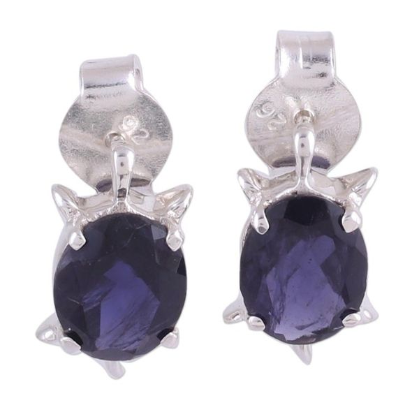 Alternate image for Artisan Jewelry Earrings Sterling Silver and Iolite Crystal Turtle