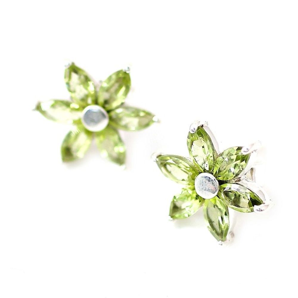 Alternate item image