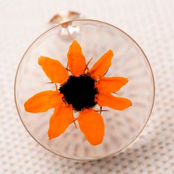Alternate image for Real Flower Resin Stud Earrings with Sterling Silver Accent Sweet Bloom