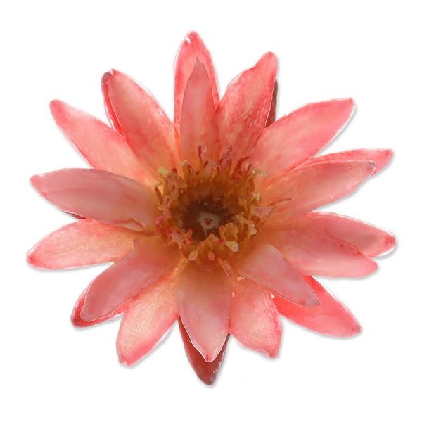 Alternate image for Thai Resin-Coated Natural Red Water Lily Flower Brooch Pin Chic Red Water Lily