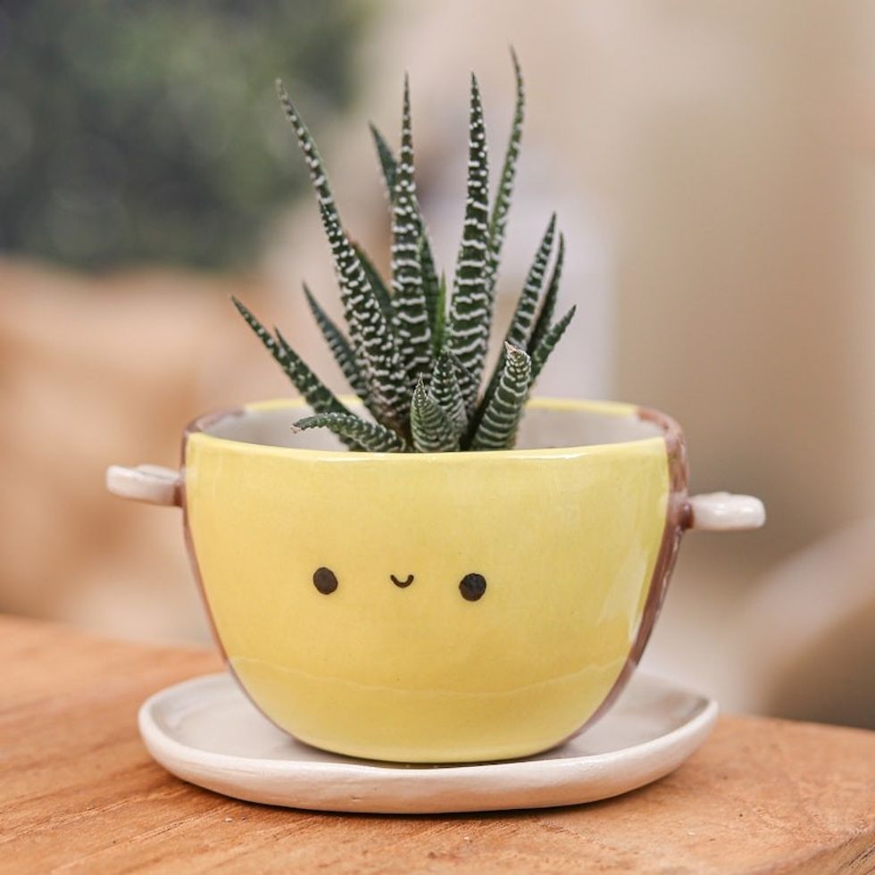 Handmade Bee-Shaped Ceramic Flower Pot and Saucer Medium 'Bee Epoch'