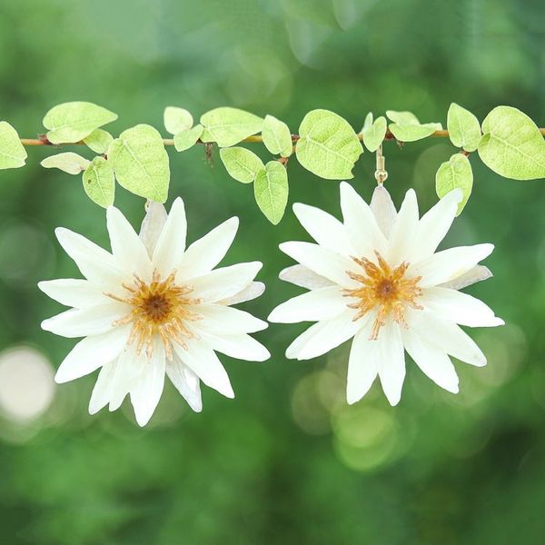 Alternate image for Gold-Accented Dangle Earrings with Resin-Coated Water Lilies Chic Ivory Water Lily
