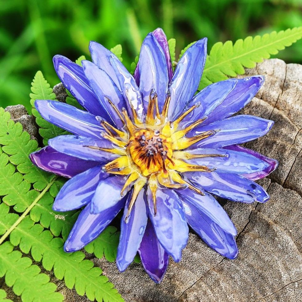 Spring-Themed Resin-Coated Purple Waterlily Bloom Brooch Pin 'Magical Rebirth'