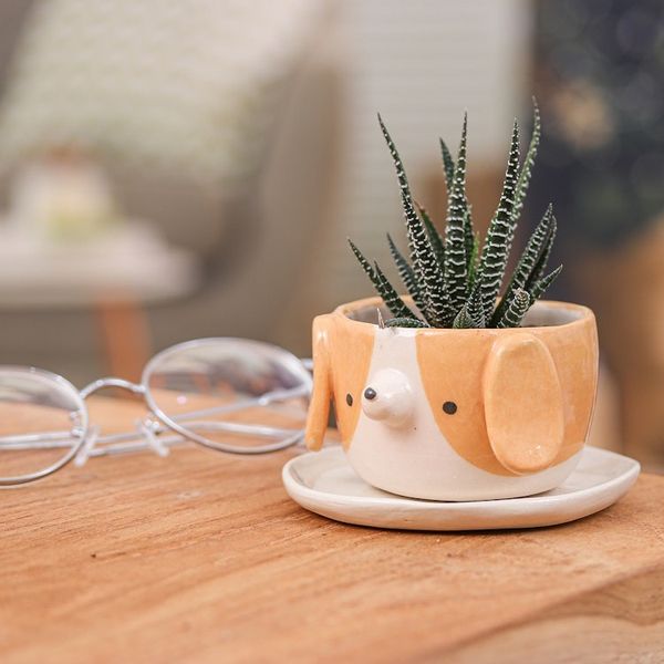 Alternate image for Glazed Beagle Dog Ceramic Mini Flower Pot and Saucer Small Beagle Spring