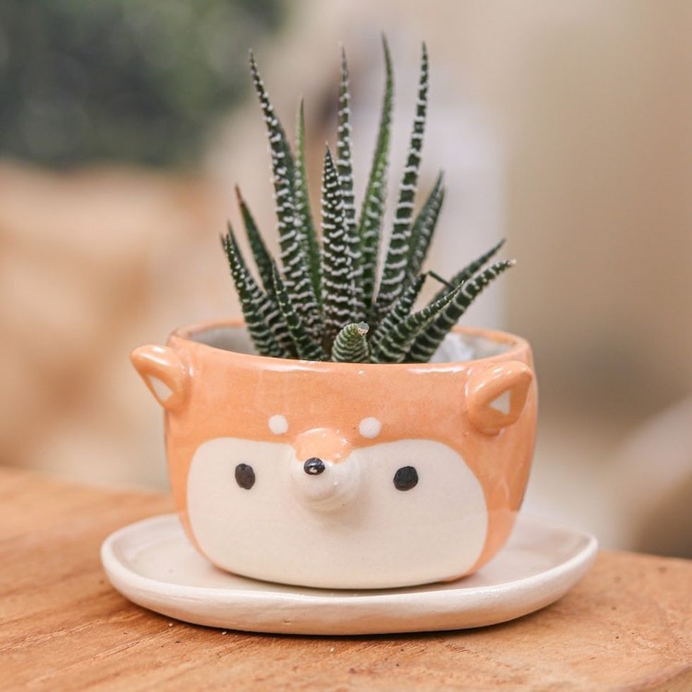 Thai-Made Siberian Dog Mini Flower Pot and Saucer Small 'Siberian Spring'