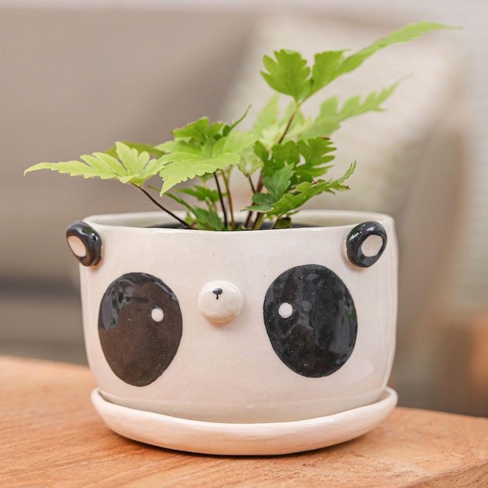 Panda-Themed Ceramic Flower Pot and Saucer Set Extra Large 'Panda Nature'
