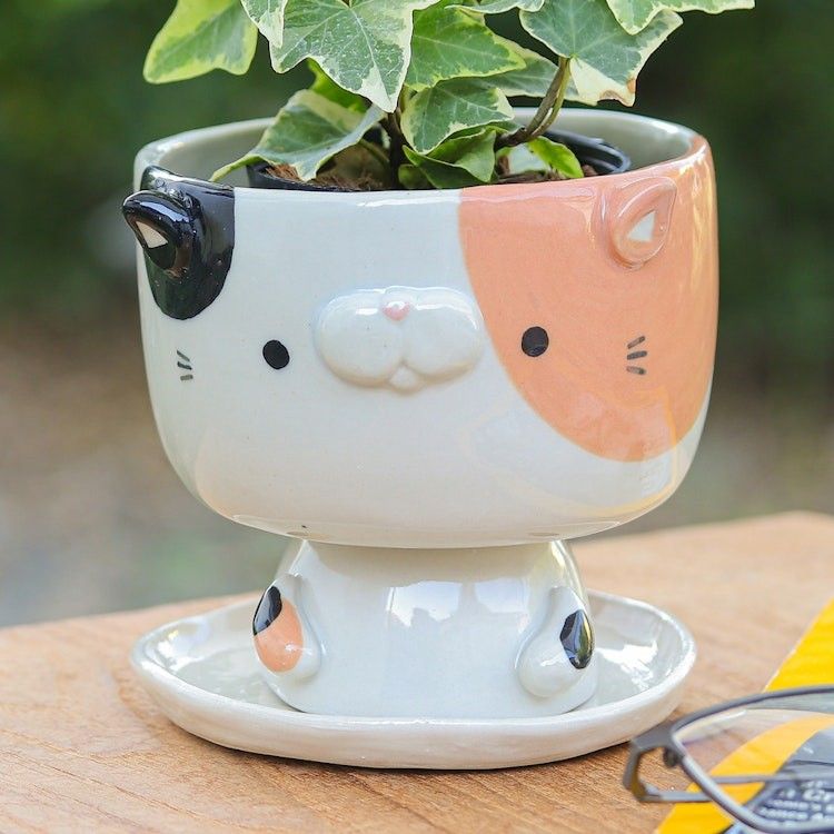 Main item image