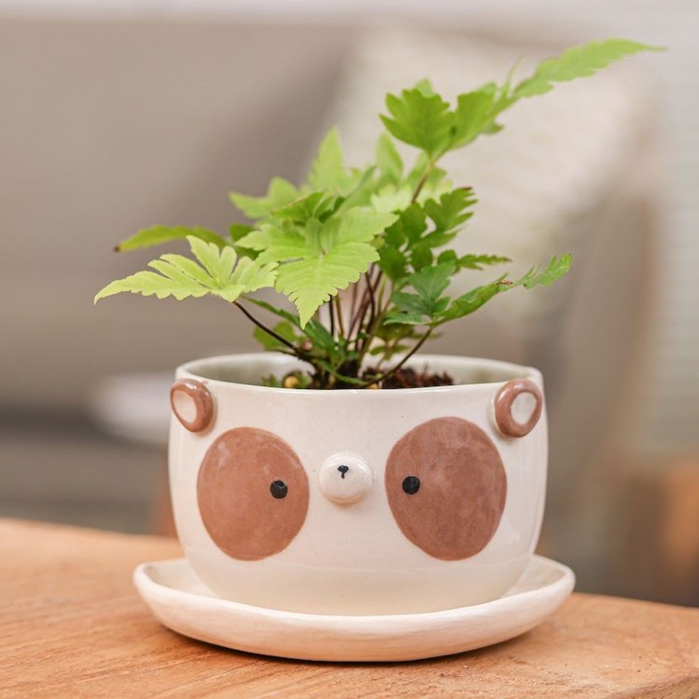 Painted Brown Panda-Shaped Ceramic Flower Pot and Saucer Set 'Brown Panda Blossoming'