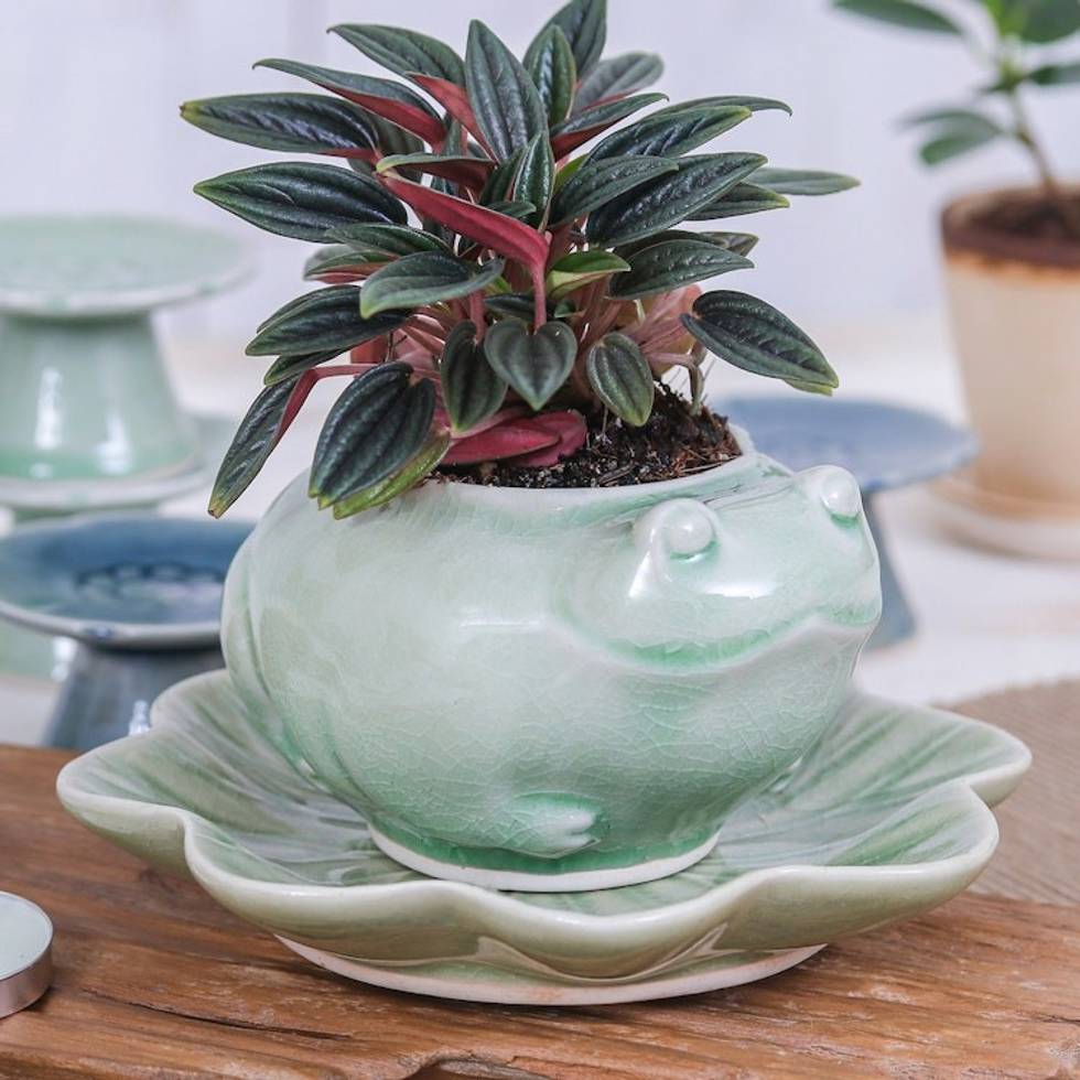 Celadon Ceramic Frog on Lotus Mini Flower Pot with Saucer 'Frog on Lotus'