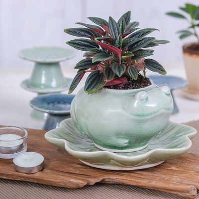 Alternate image for Celadon Ceramic Frog on Lotus Mini Flower Pot with Saucer Frog on Lotus