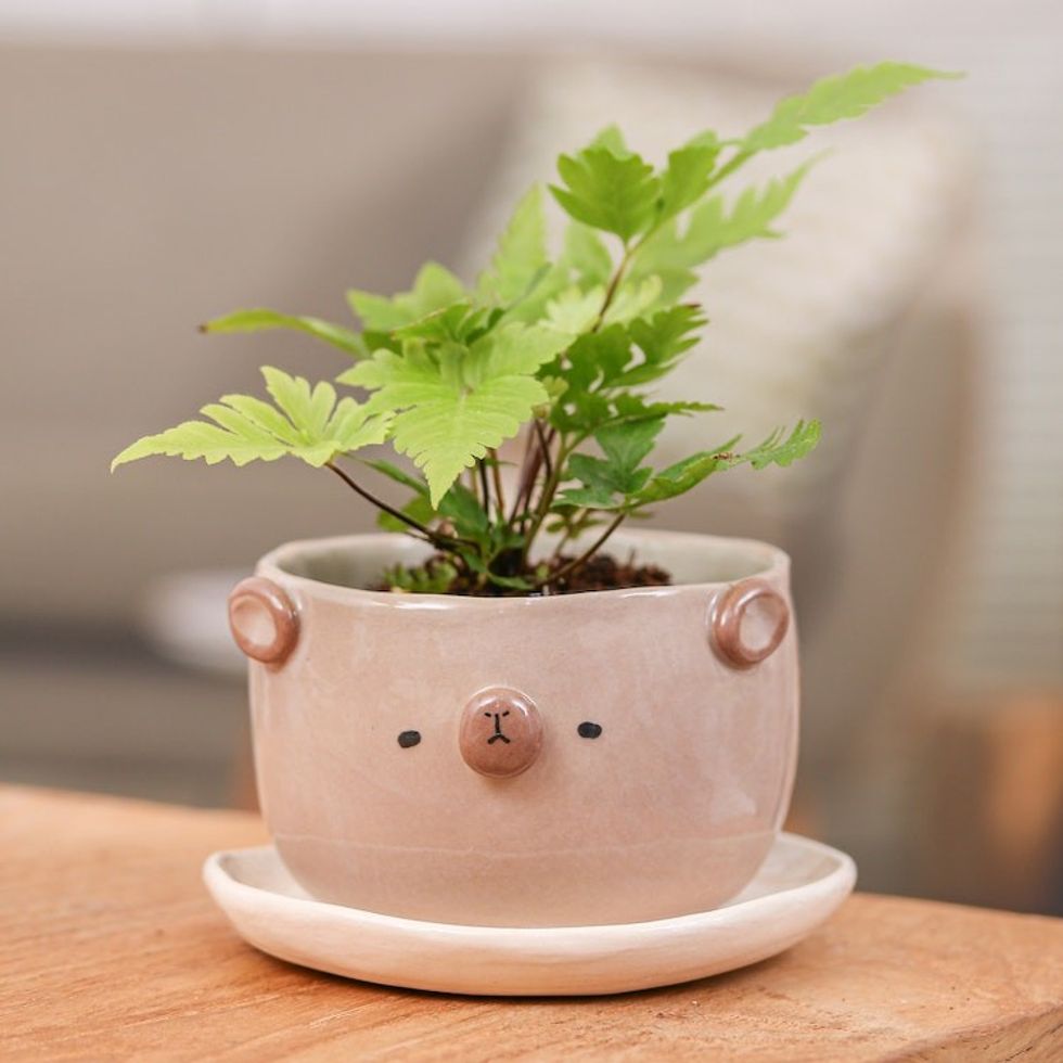 Thai Bear-Themed Glazed Ceramic Flower Pot and Saucer Set 'Bear Blossoming'