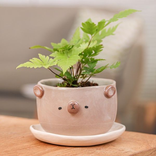 Alternate image for Thai Bear-Themed Glazed Ceramic Flower Pot and Saucer Set Bear Blossoming