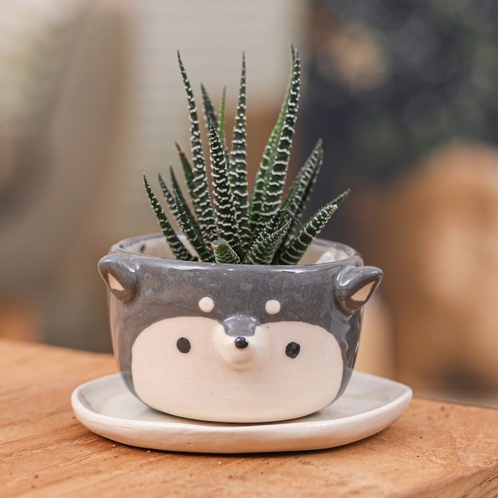 Thai Husky Dog-Themed Mini Flower Pot and Saucer Small 'Husky Spring'
