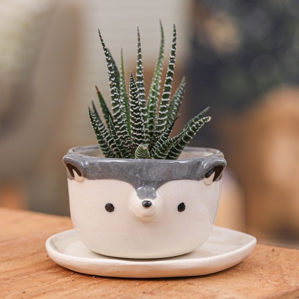Hand-Painted Ceramic Wolf Mini Flower Pot and Saucer Small 'Wolf Spring'