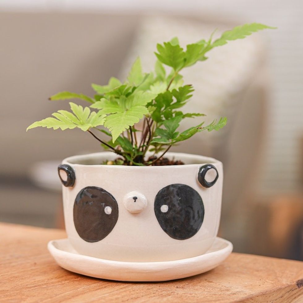Hand-Painted Panda-Shaped Ceramic Flower Pot and Saucer Set 'Panda Blossoming'
