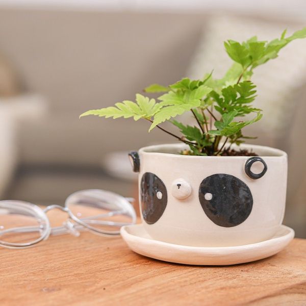 Alternate image for Hand-Painted Panda-Shaped Ceramic Flower Pot and Saucer Set Panda Blossoming