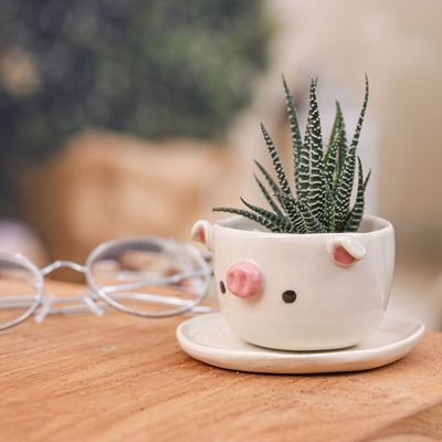 Alternate image for Piglet-Shaped Ceramic Mini Flower Pot and Saucer Small Piglet Spring
