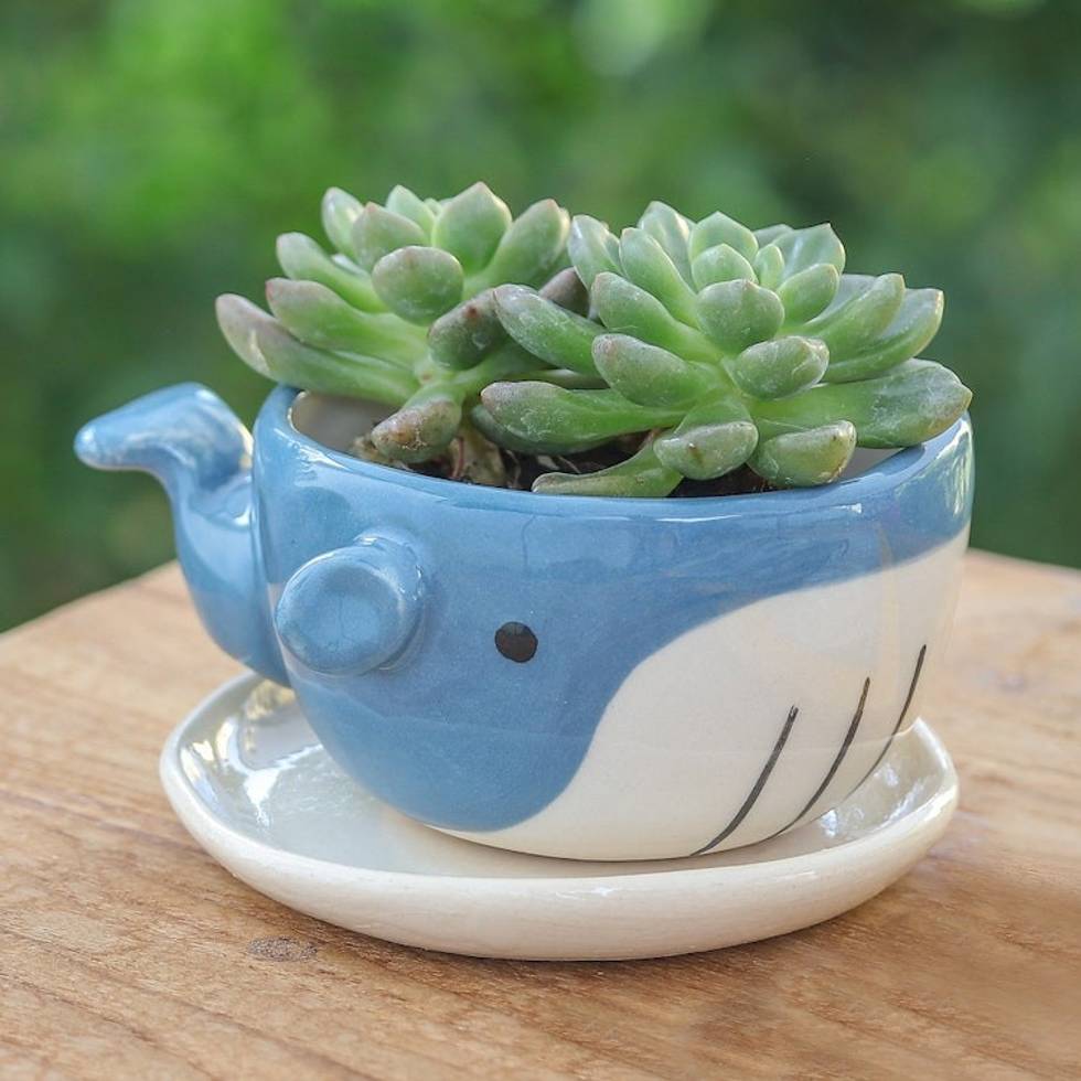 Hand-Painted Whale-Shaped Ceramic Mini Flower Pot and Saucer 'Whale Roots'