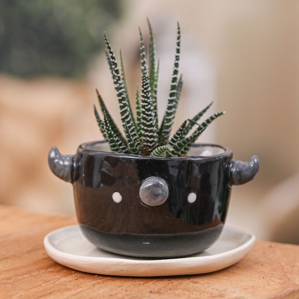 Handmade Glazed Buffalo Mini Flower Pot and Saucer Small 'Buffalo Spring'