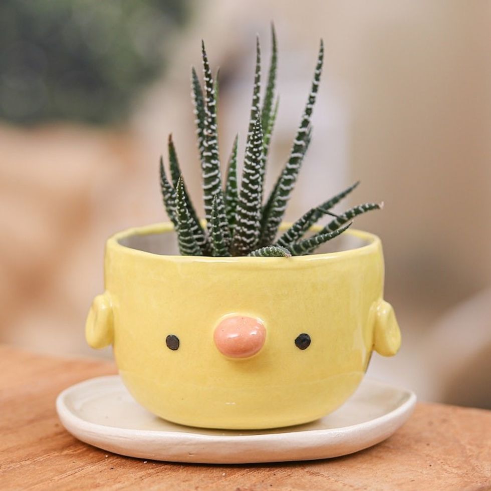 Painted Ceramic Chick Mini Flower Pot and Saucer Small 'Chick Spring'