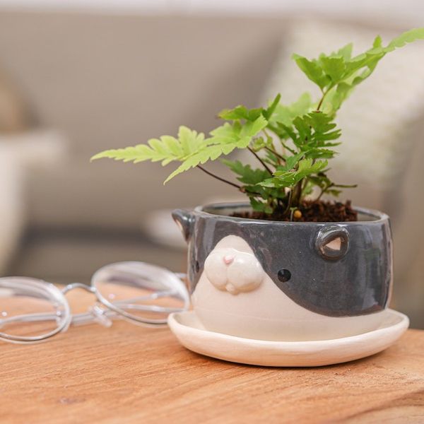 Alternate image for Handcrafted Tuxedo Cat-Themed Ceramic Flower Pot and Saucer Tuxedo Blossoming