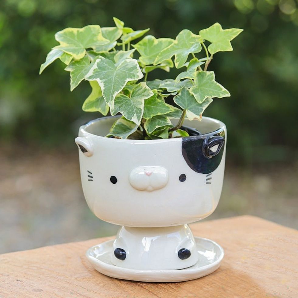 Cat-Shaped Ivory Black Ceramic Mini Flower Pot with Saucer 'Adorable Kitty'