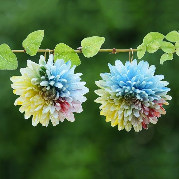 Alternate image for Multicolor Chrysanthemum Dangle Earrings with Gold Accents Happy Colors