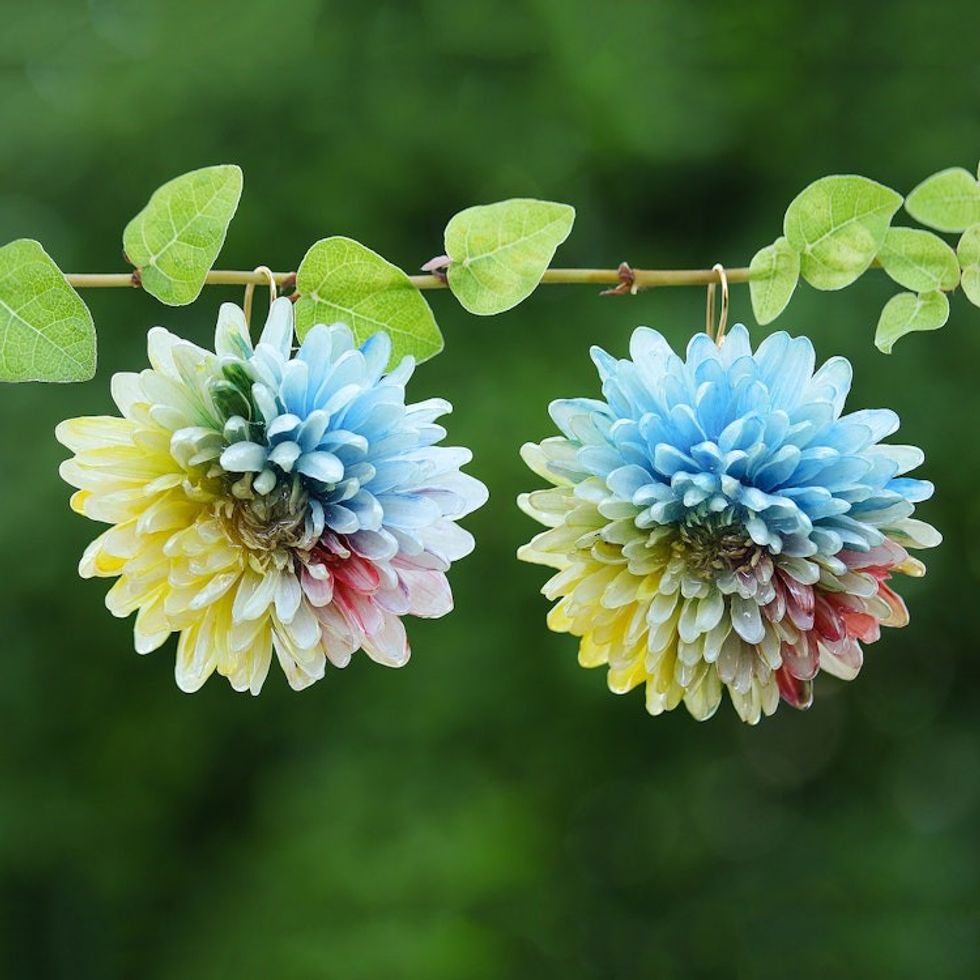 Multicolor Chrysanthemum Dangle Earrings with Gold Accents 'Happy Colors'