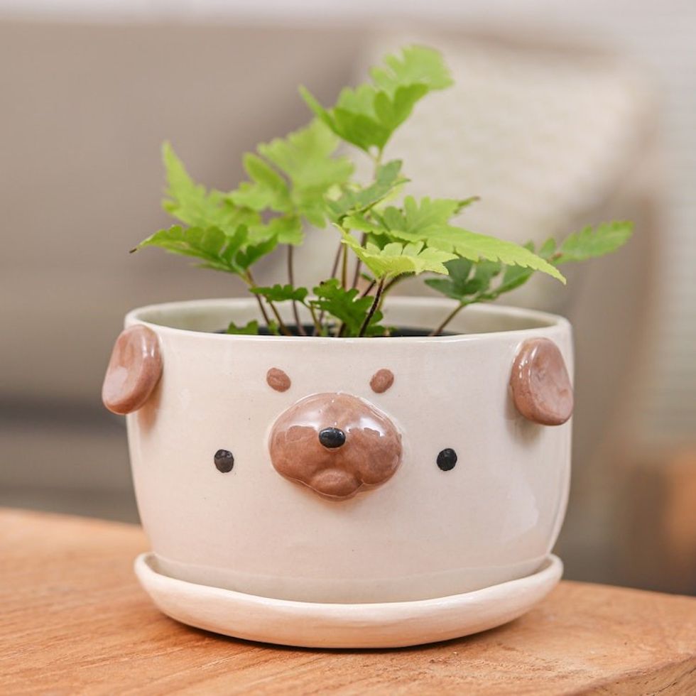 Glazed Pug Dog Ceramic Flower Pot and Saucer Extra Large 'Pug Nature'