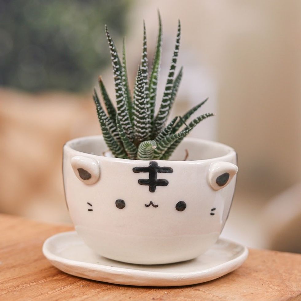 Thai-Made White Tiger Ceramic Flower Pot and Saucer Medium 'White Tiger Epoch'