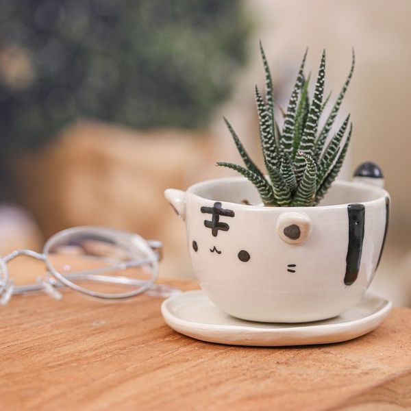 Alternate image for Thai-Made White Tiger Ceramic Flower Pot and Saucer Medium White Tiger Epoch