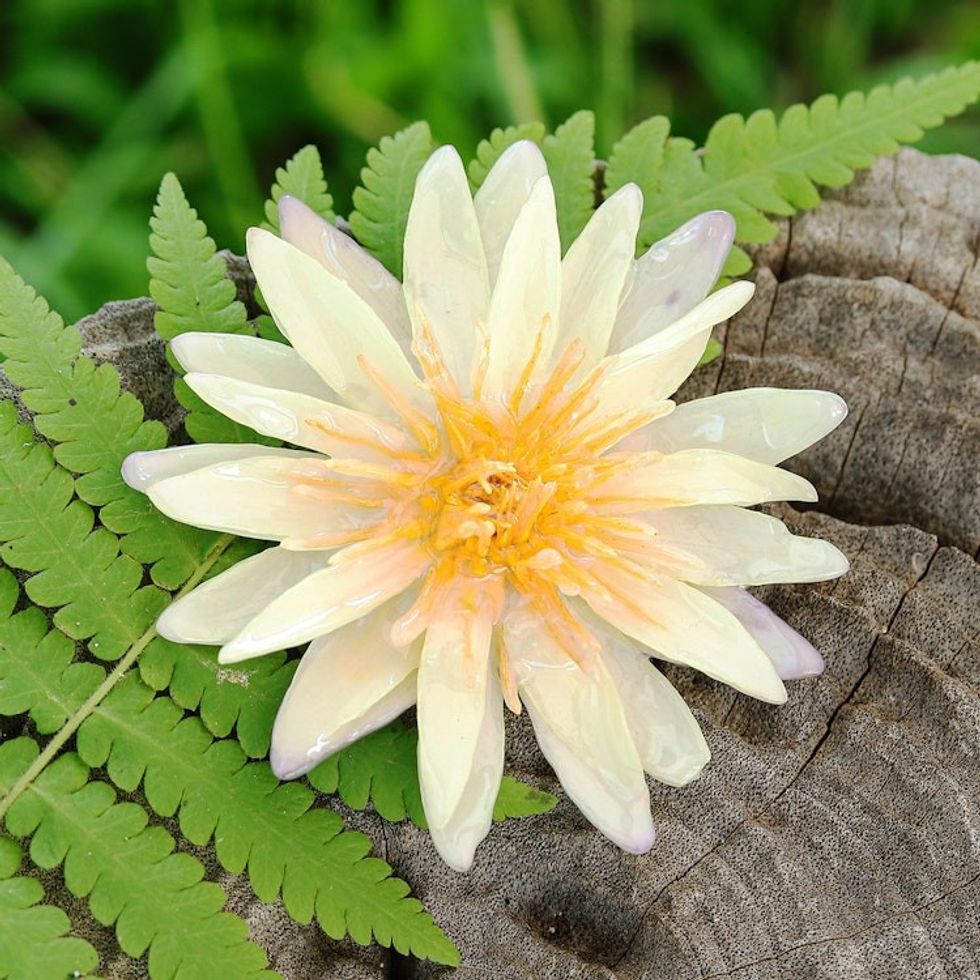 Resin-Coated Ivory Waterlily Bloom Brooch Pin from Thailand 'Dawn Rebirth'
