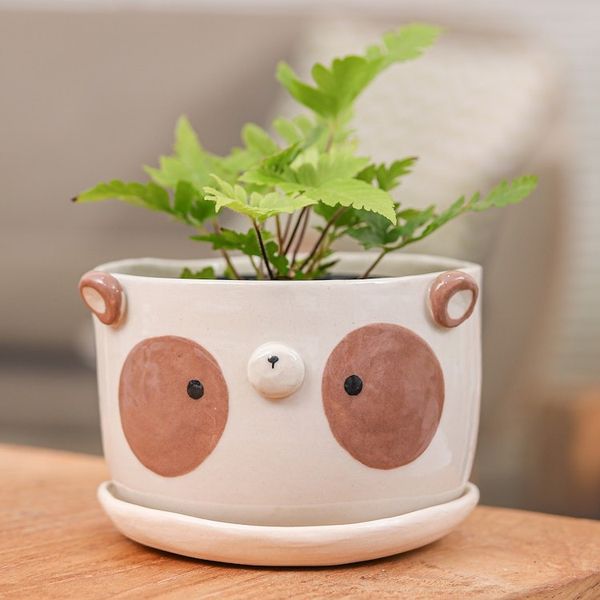 Alternate image for Brown Panda Ceramic Flower Pot and Saucer Set Extra Large Brown Panda Nature