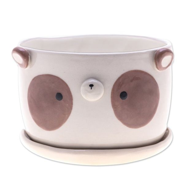 Alternate image for Brown Panda Ceramic Flower Pot and Saucer Set Extra Large Brown Panda Nature