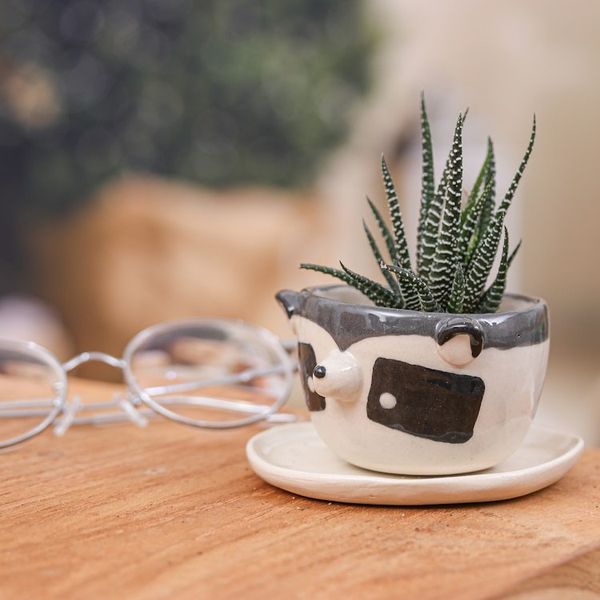 Alternate image for Raccoon-Themed Ceramic Mini Flower Pot and Saucer Small Raccoon Spring