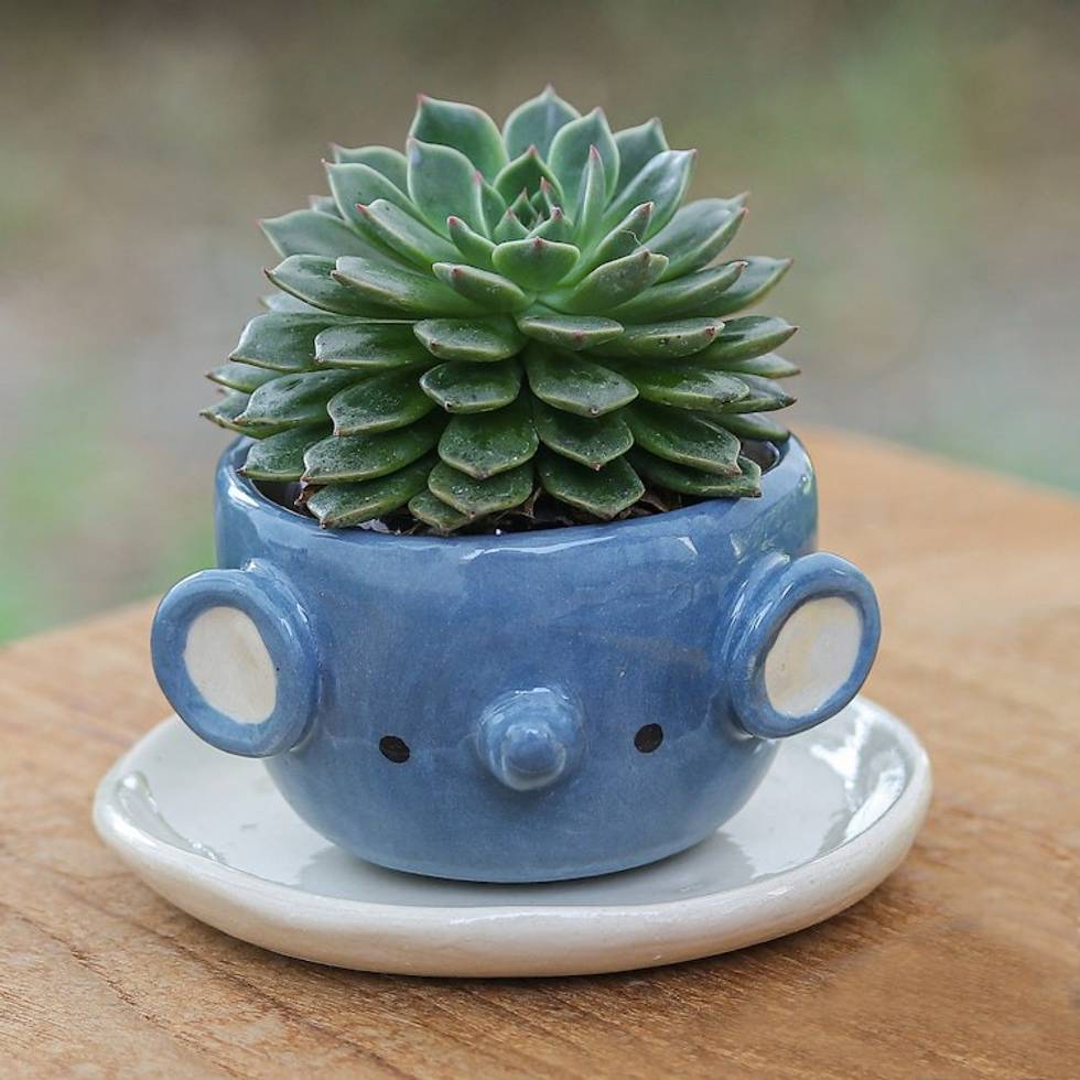 Ivory and Blue Ceramic Elephant Mini Flower Pot with Saucer 'Sweet Elephant'