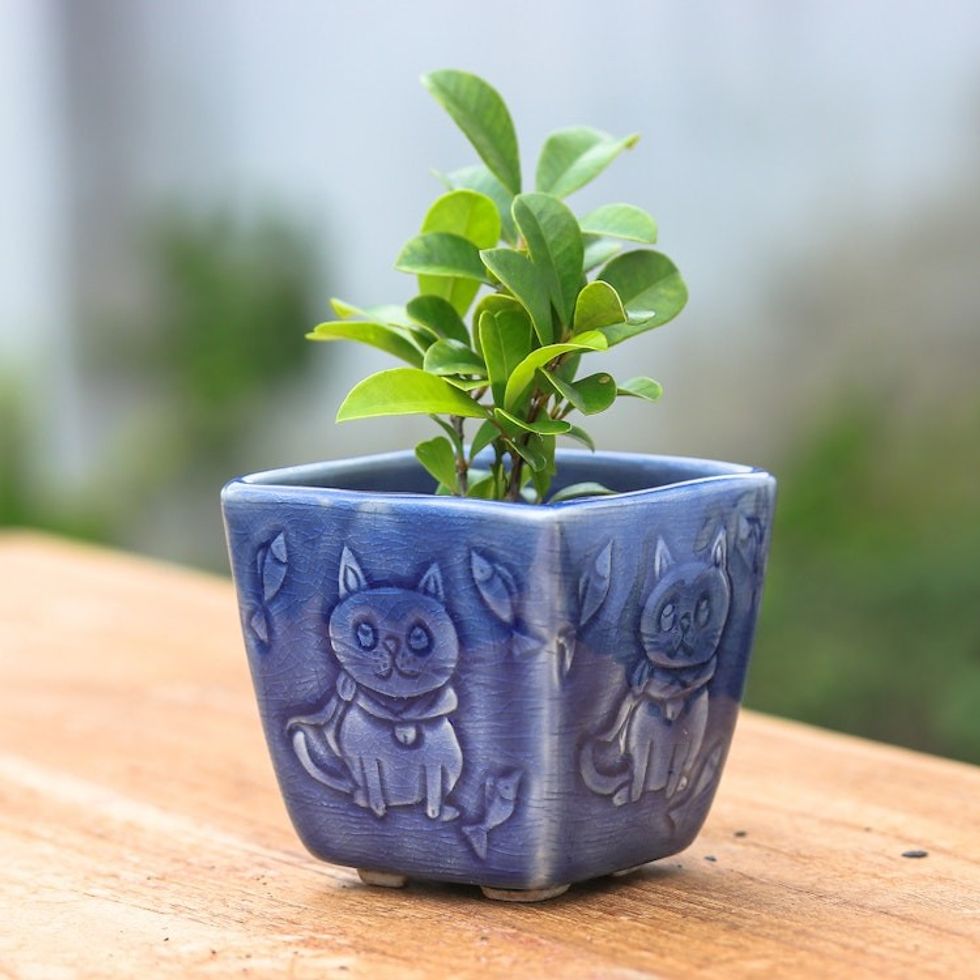 Cat-Themed Crackled-Finished Blue Ceramic Mini Flower Pot 'Feline Eden in Blue'