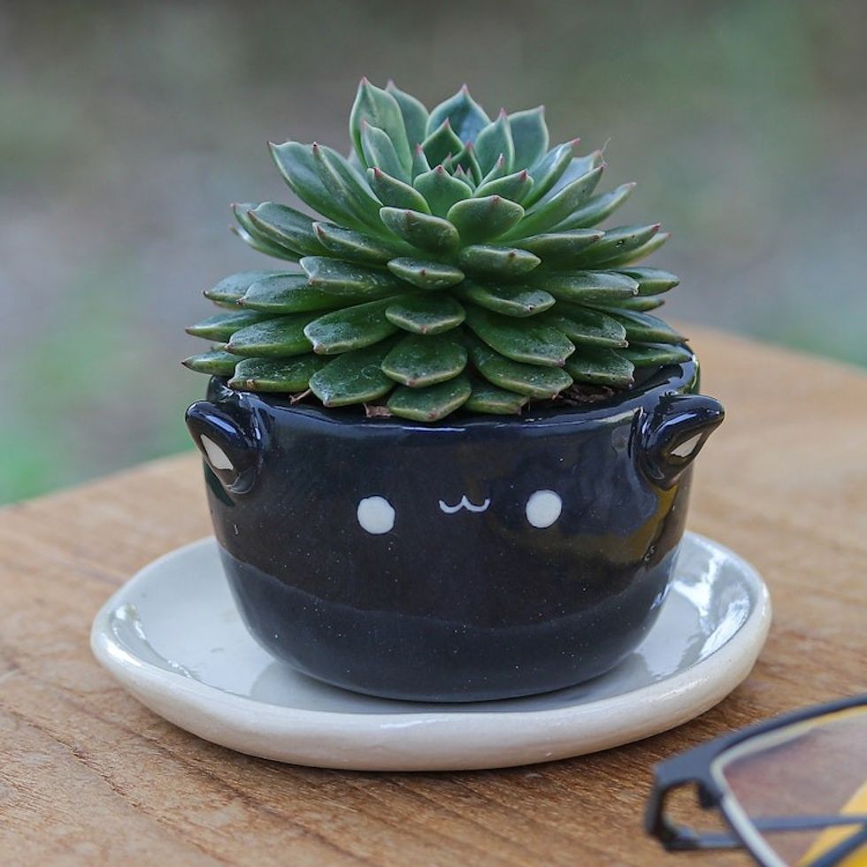 Handcrafted Black Ceramic Cat Mini Flower Pot with Saucer 'Kitty Glam'