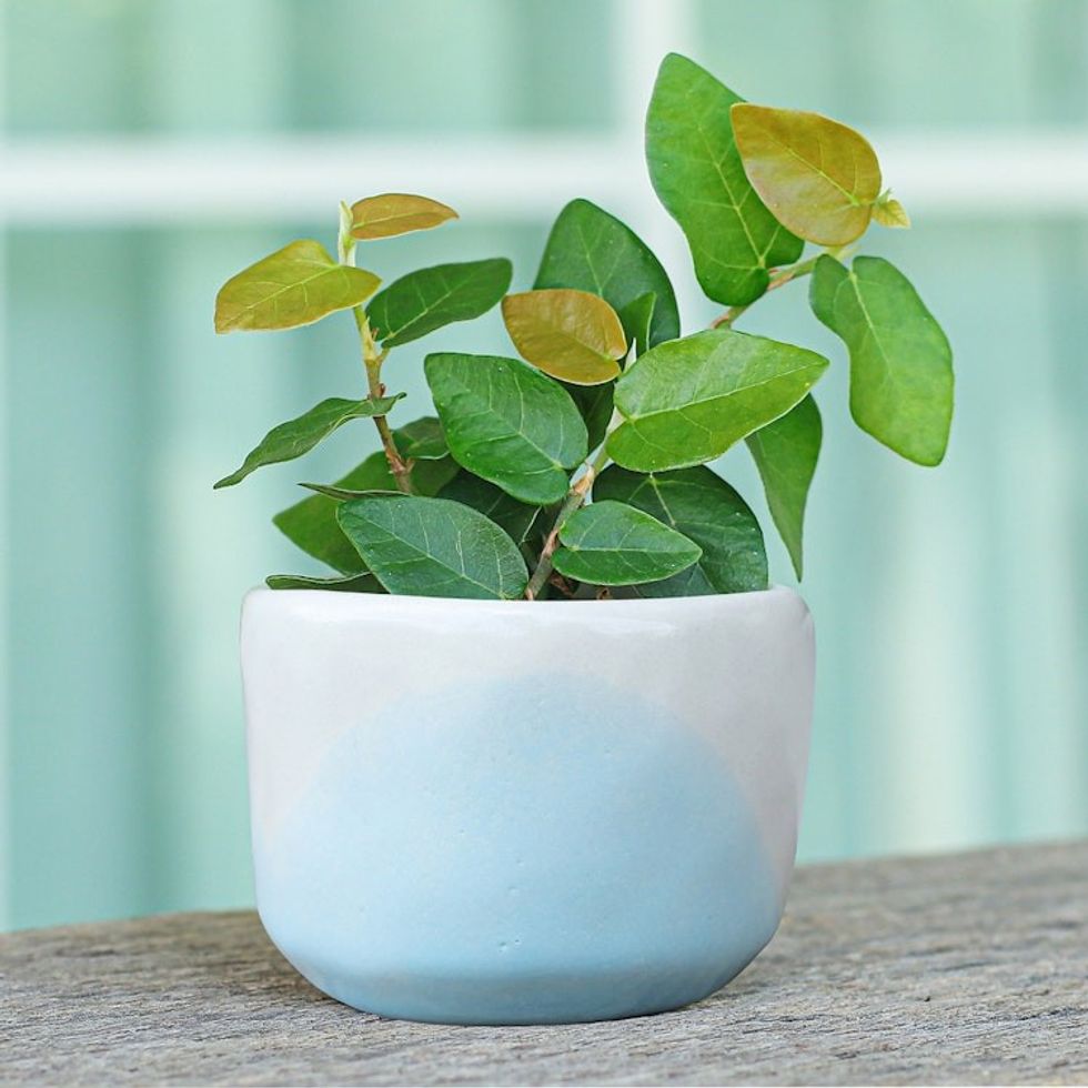 Handcrafted Ceramic Flower Pot with White and Blue Tones 'Dazzling Bud'