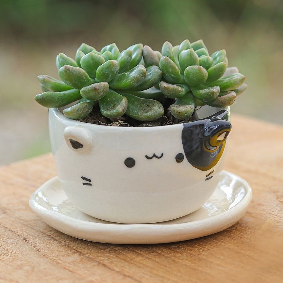 Handcrafted Cat-Shaped Ceramic Mini Flower Pot with Saucer 'Kitty Magic'