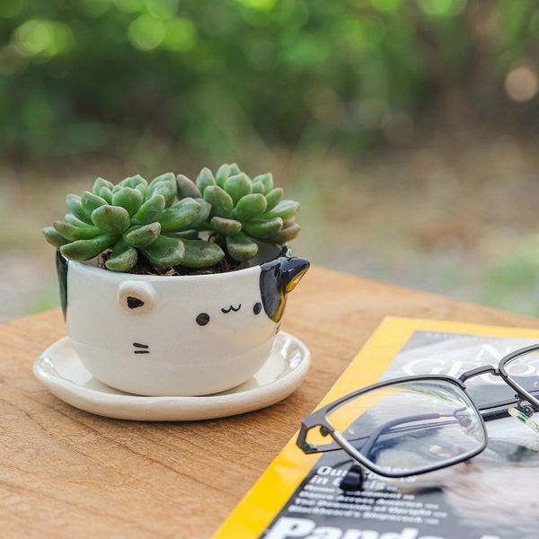Alternate image for Handcrafted Cat-Shaped Ceramic Mini Flower Pot with Saucer Kitty Magic