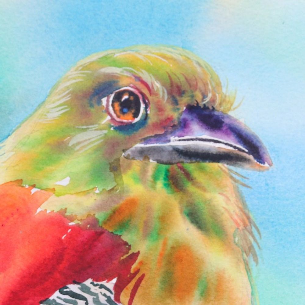 Alternate item image