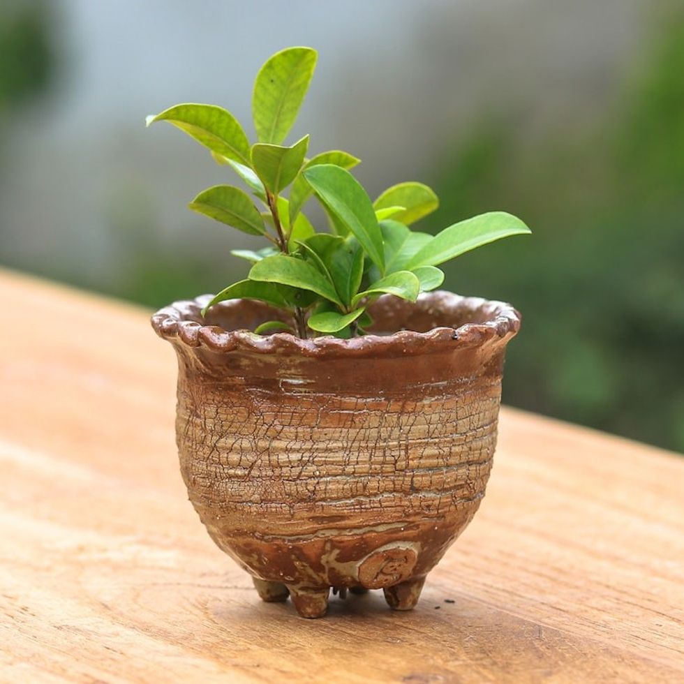 Handcrafted Crackled-Finish Earthy Brown Ceramic Flower Pot 'Earth Steps'