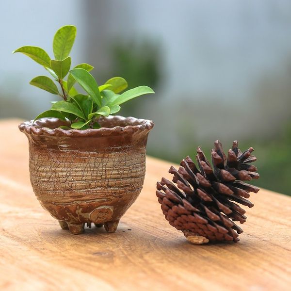 Alternate image for Handcrafted Crackled-Finish Earthy Brown Ceramic Flower Pot Earth Steps